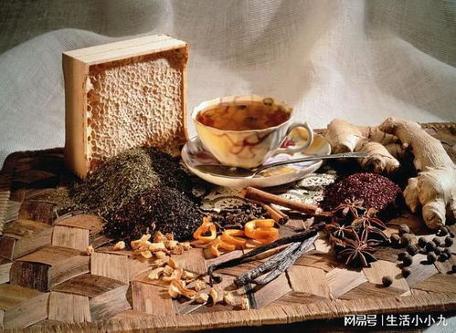 中醫(yī)養(yǎng)生保健 傳統(tǒng)文化與現(xiàn)代健康的融合