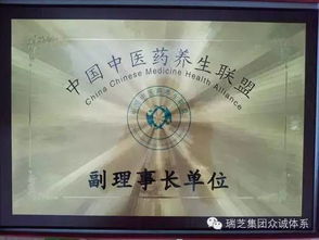 中醫(yī)藥養(yǎng)生保健服務(wù) 企業(yè)榮譽(yù)與行業(yè)卓越之路